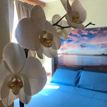 Dream & Relax Fiore 4*