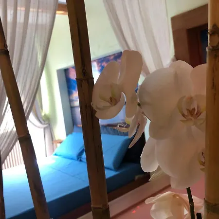 Dream & Relax Fiore Bed & Breakfast