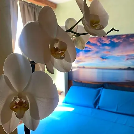 Dream & Relax Fiore Bed and breakfast