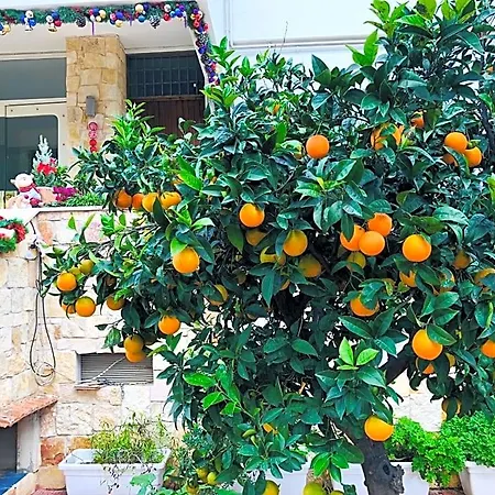 Dream & Relax Fiore Bed and breakfast Bari