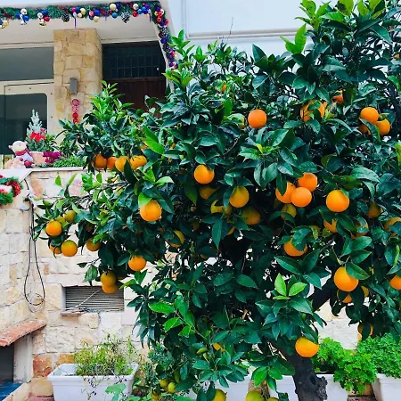 Dream & Relax Fiore Bed & Breakfast