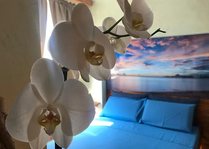 Dream & Relax Fiore 4*