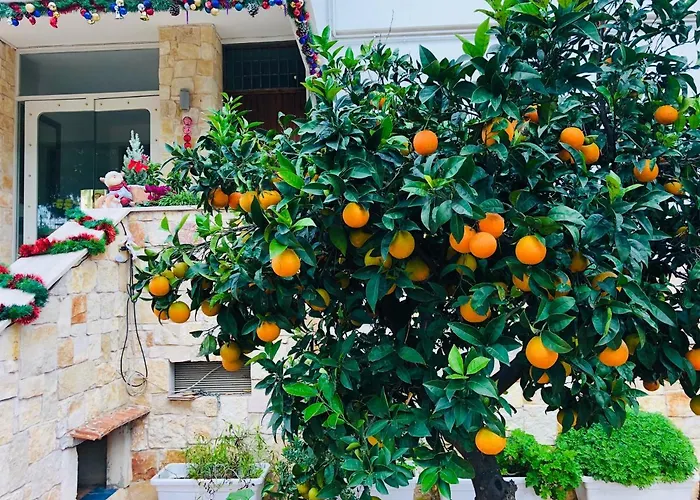 Dream & Relax Fiore Bed and breakfast